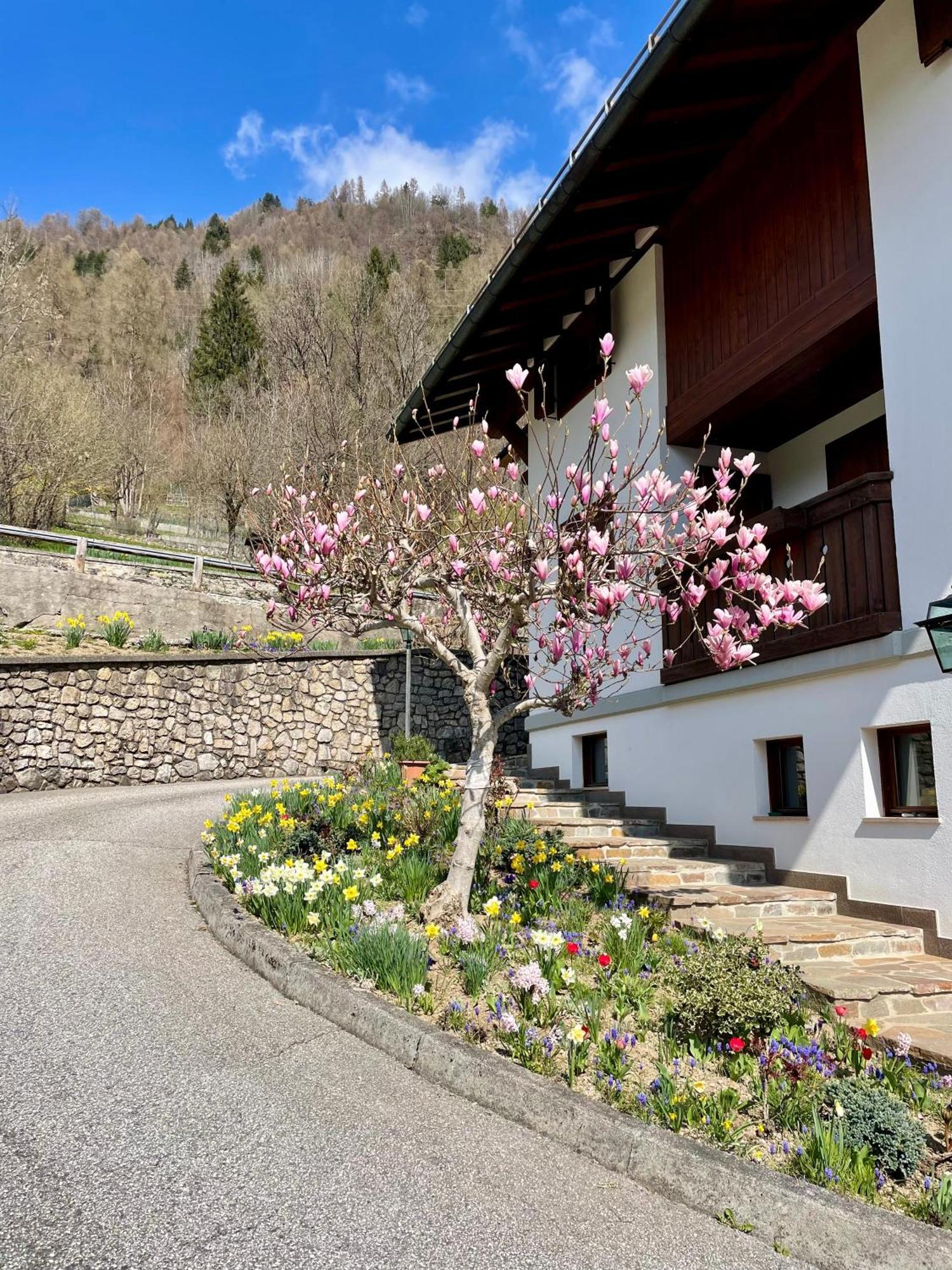 Cà Borghetto Hotel Venas Exterior foto