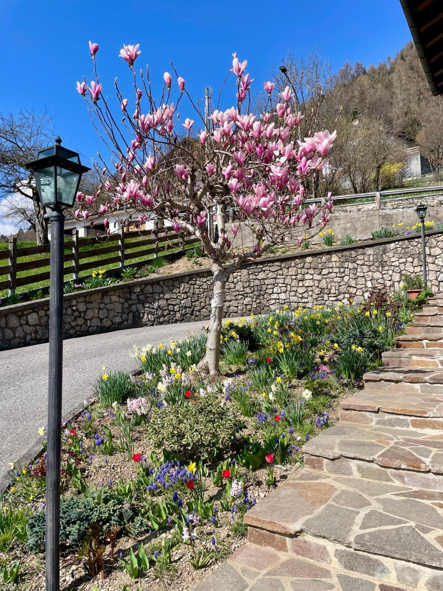 Cà Borghetto Hotel Venas Exterior foto